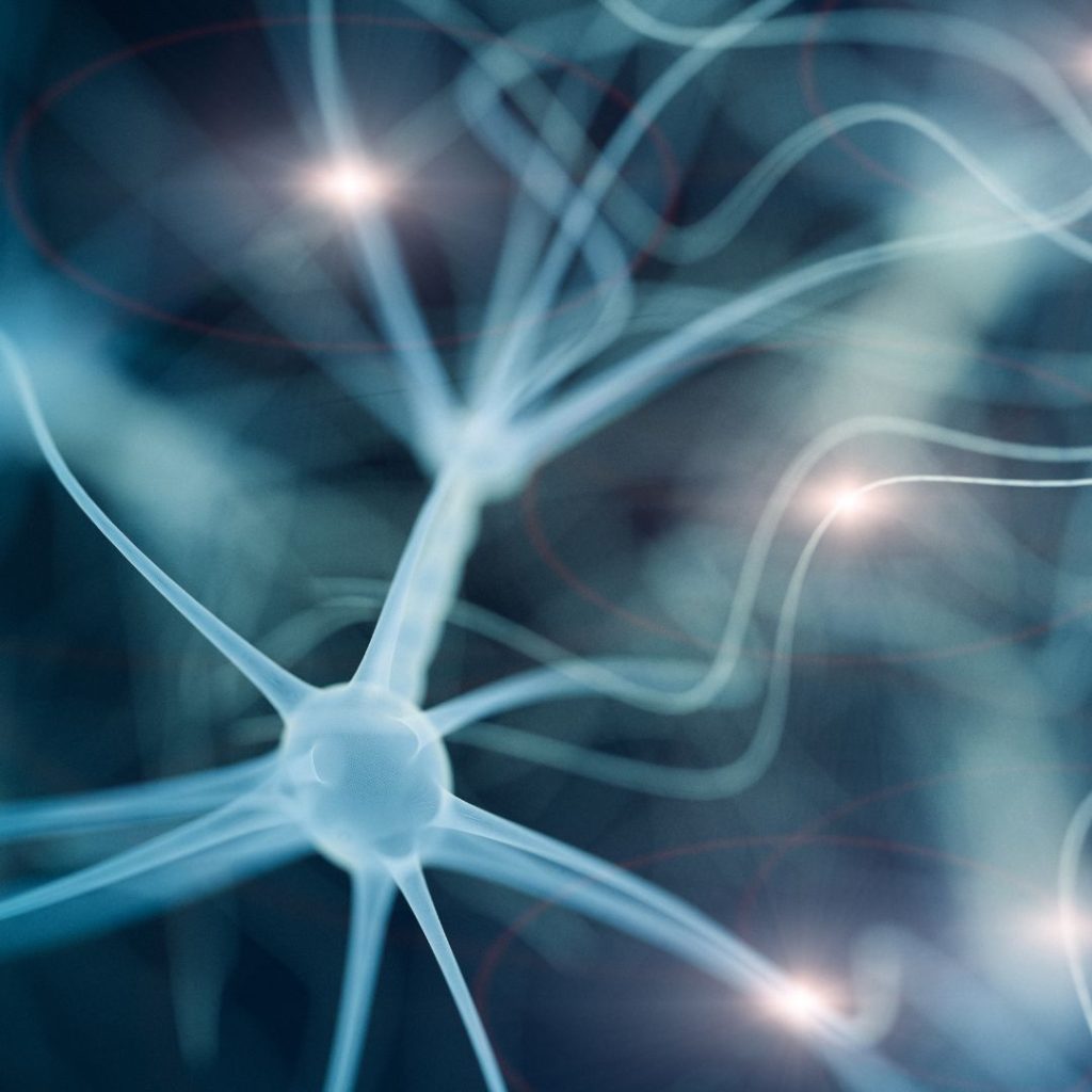 MAXIMIZING LEGAL SUCCESS: UNDERSTANDING BRAIN HEALTH & NEUROPLASTICITY 1 neurons 1