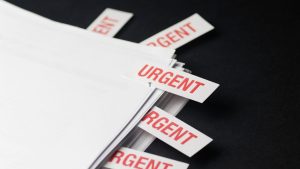 WhatsApp Image 2025 10 21 at 15.23.38