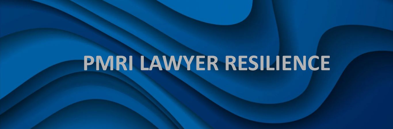 Lawyer Resilience | Neuroscience-Based Resilience Training for Legal Professionals 12 Lawyer Resilience