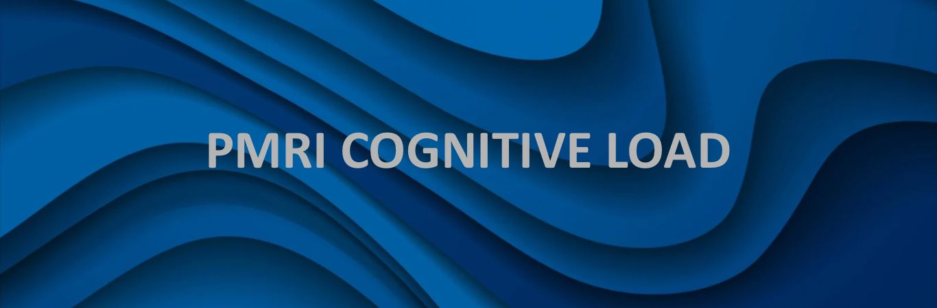 Cognitive load in legal practice