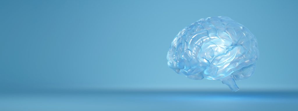 Glass brain, mental health and the legal brain for legal professionals