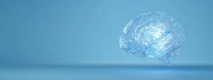 Glass brain, mental health and the legal brain for legal professionals